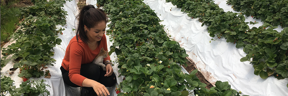 Mariah In The Green House Banner